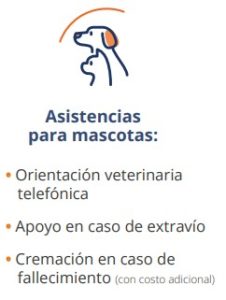 asistencia para mascotas